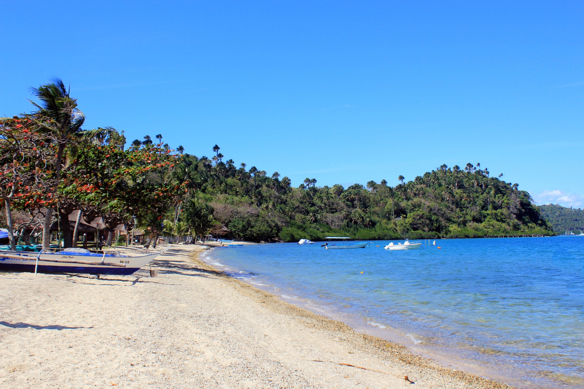 tropical beach tropical beach free photo