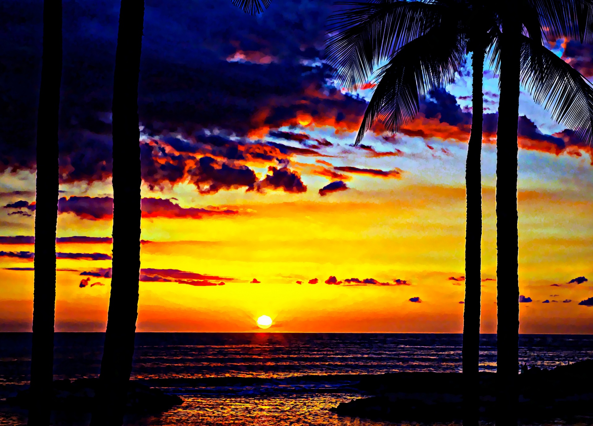 beach palm trees sun free photo
