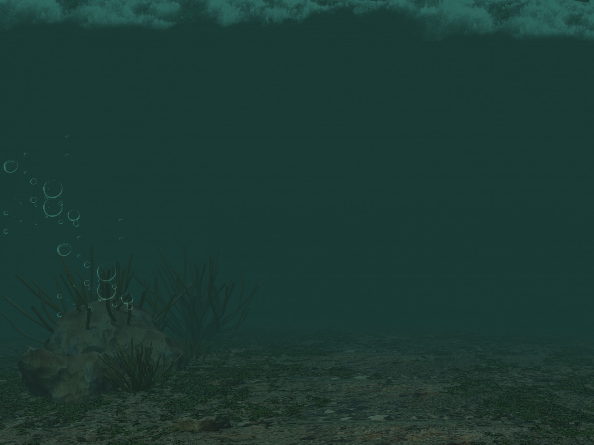 tropical underwater background underwater sea free photo