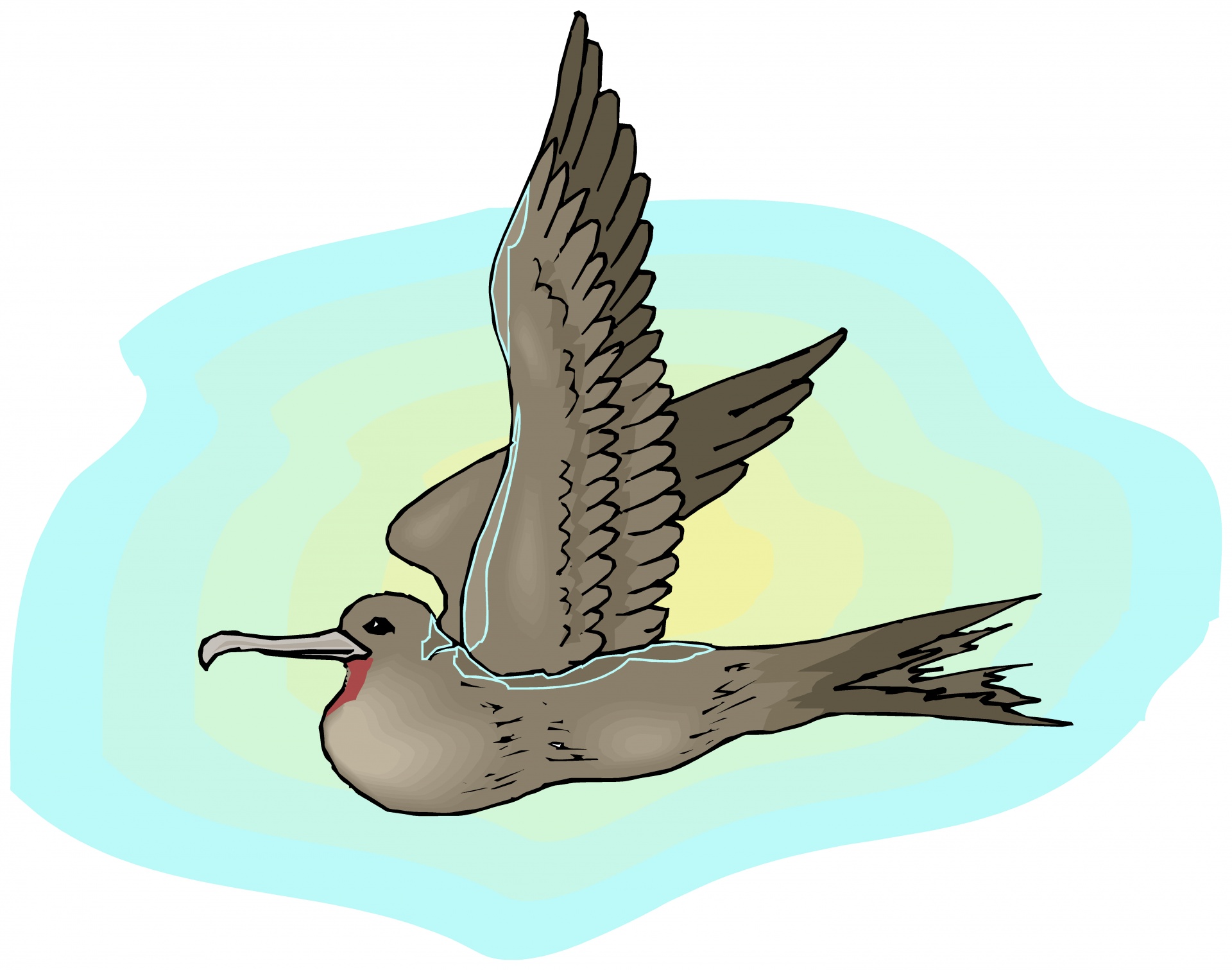 Альбатрос птица рисунок