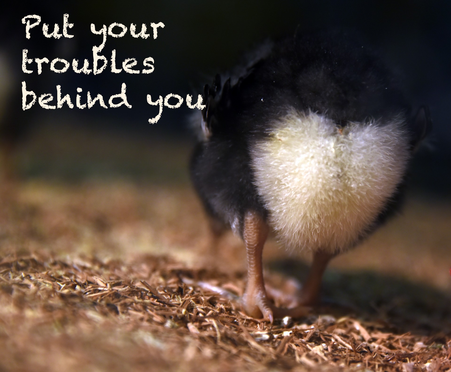 quote troubles behind you free photo