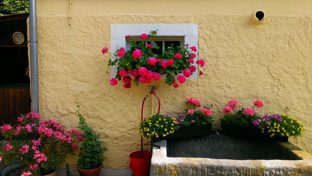 trough floral decorations farmhouse free photo