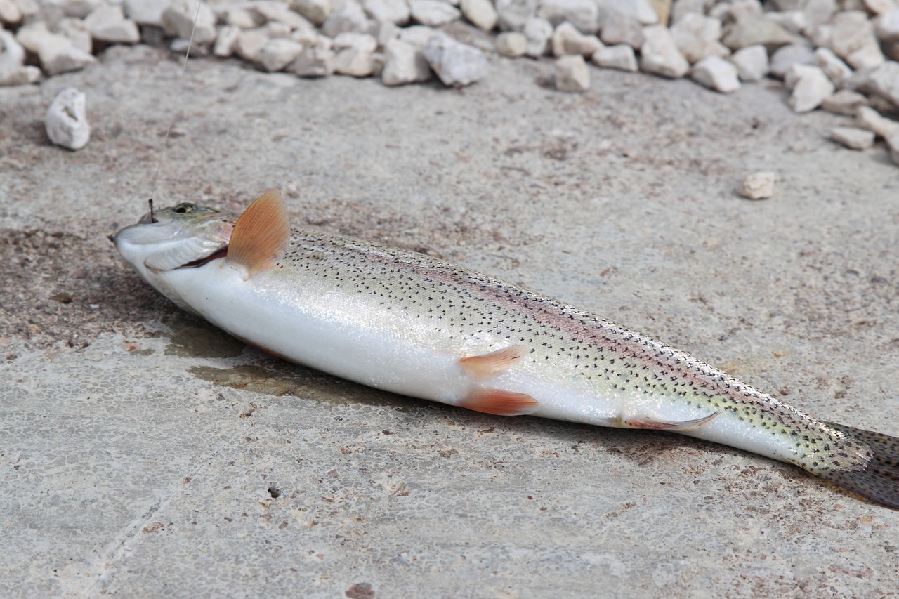 saltwater fly fishing