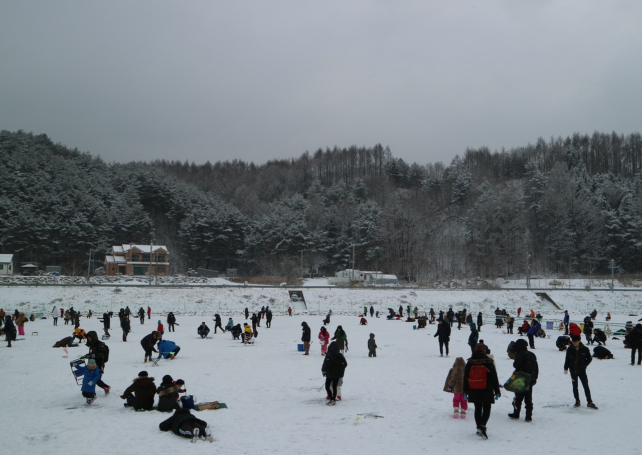 trout festival  pyeongchang  winter call now free photo