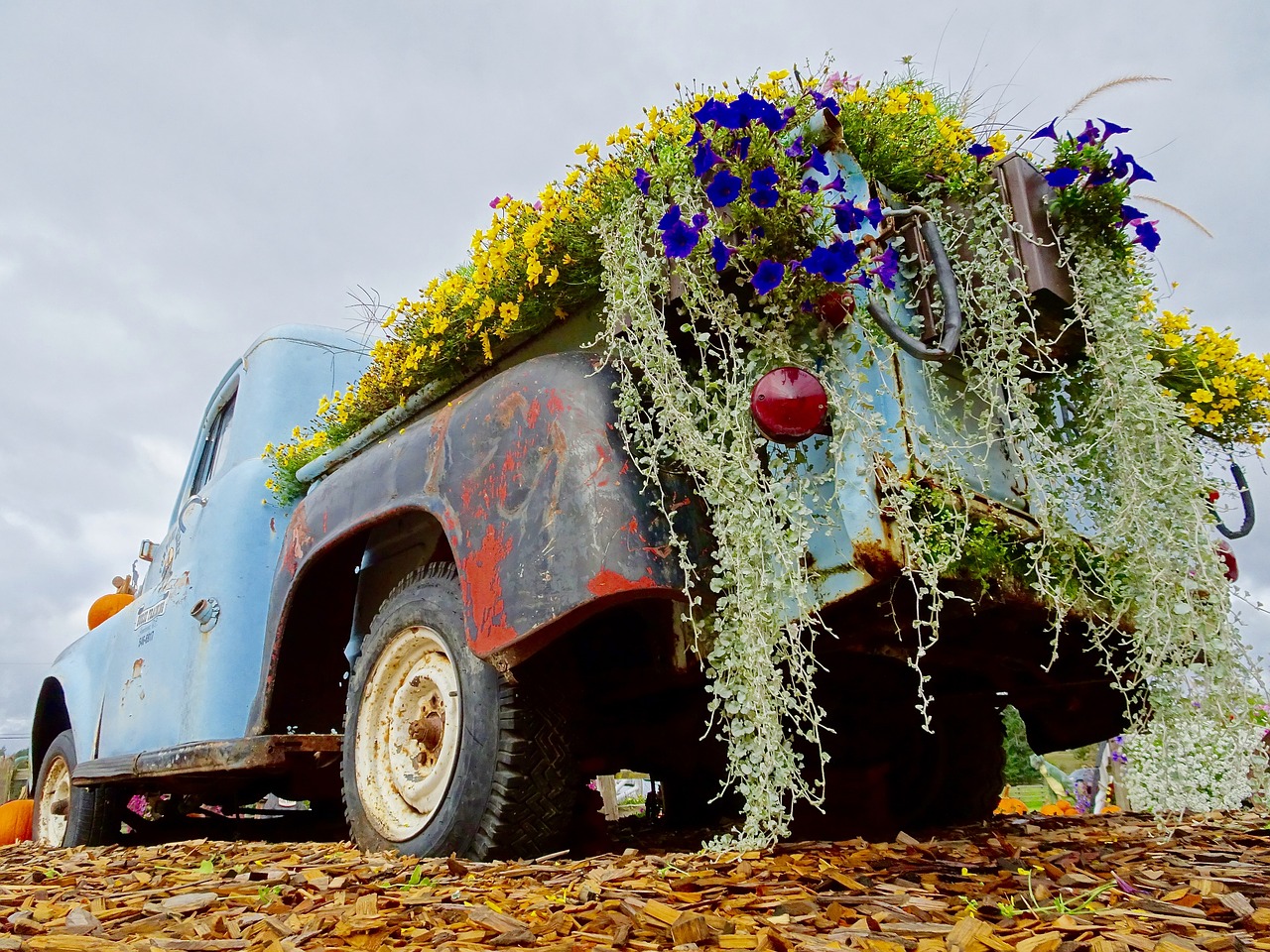 truck retro flowers free photo