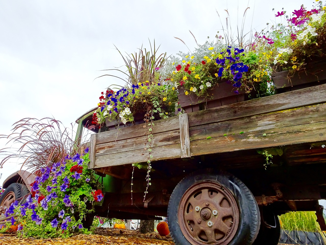 truck flowers display free photo