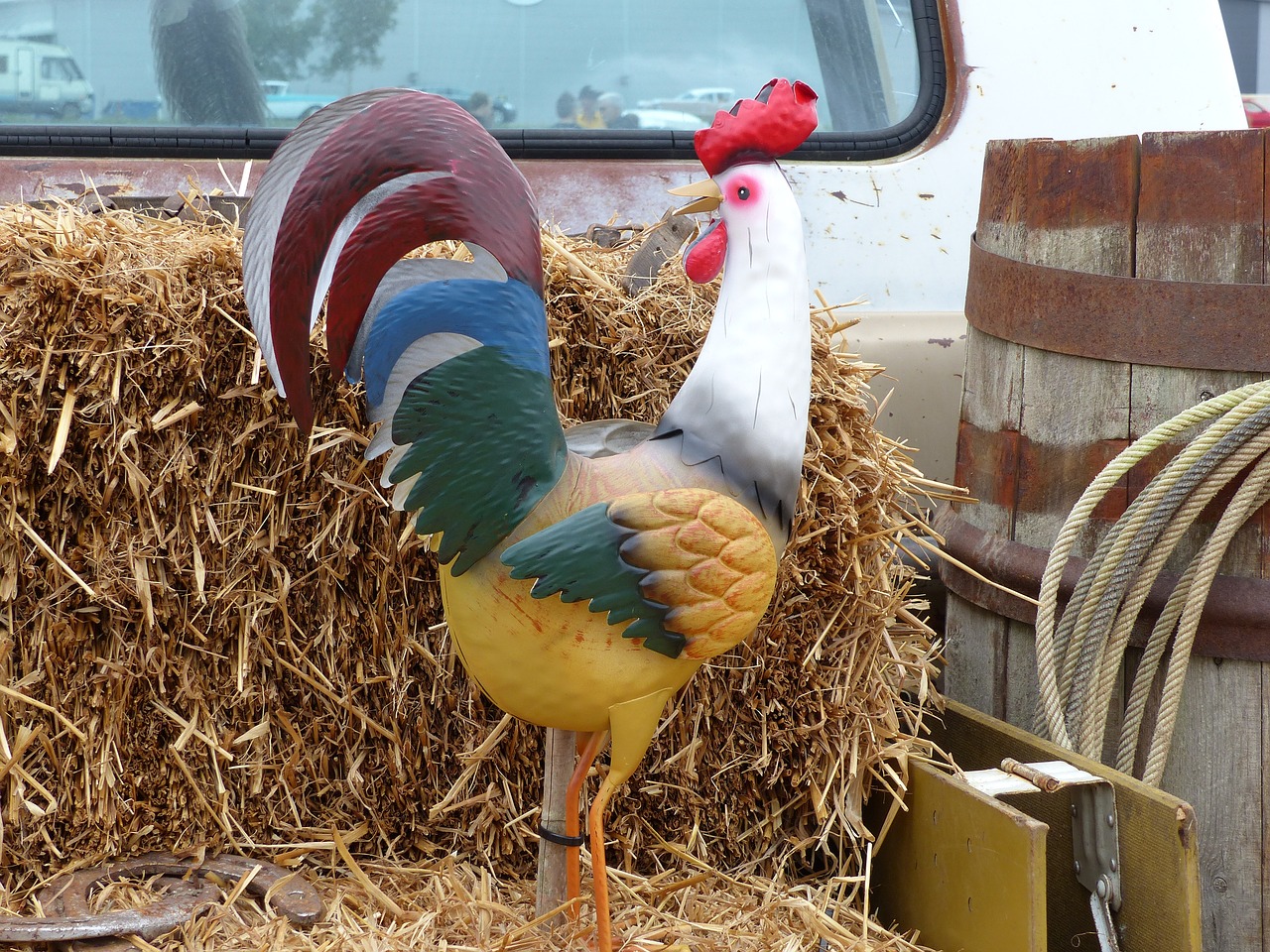 truck rooster hay free photo