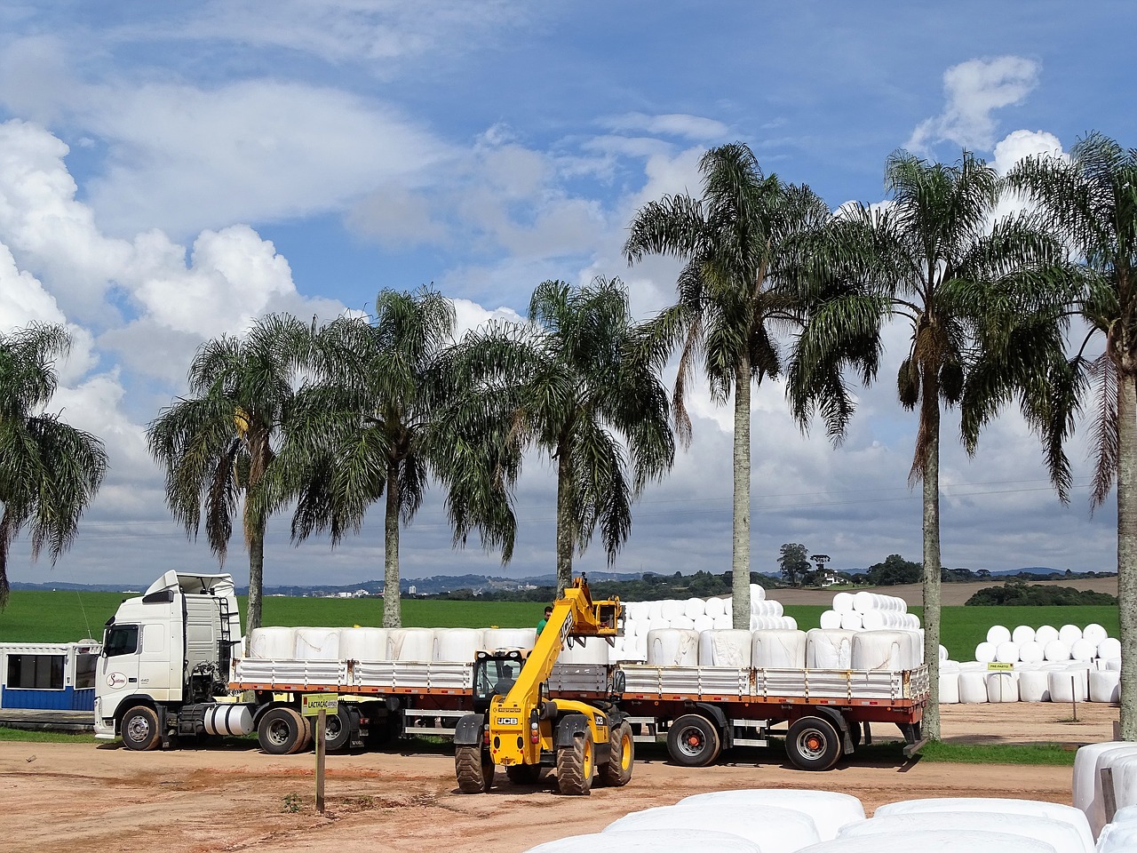 truck palm trees tractor free photo