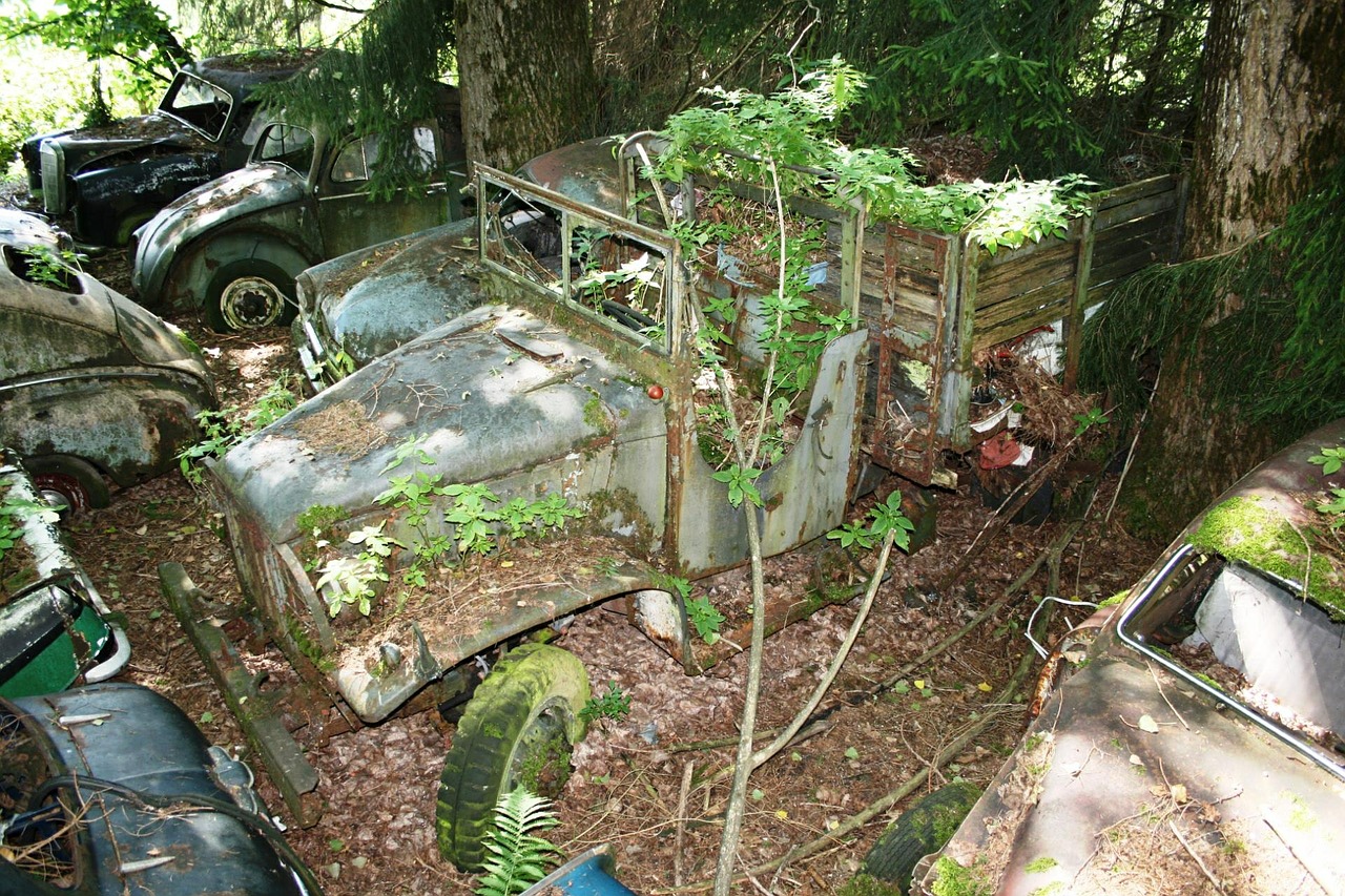 truck car cemetery old free photo