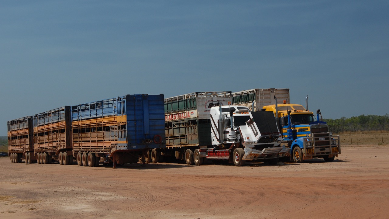 truck semi trailers australia free photo