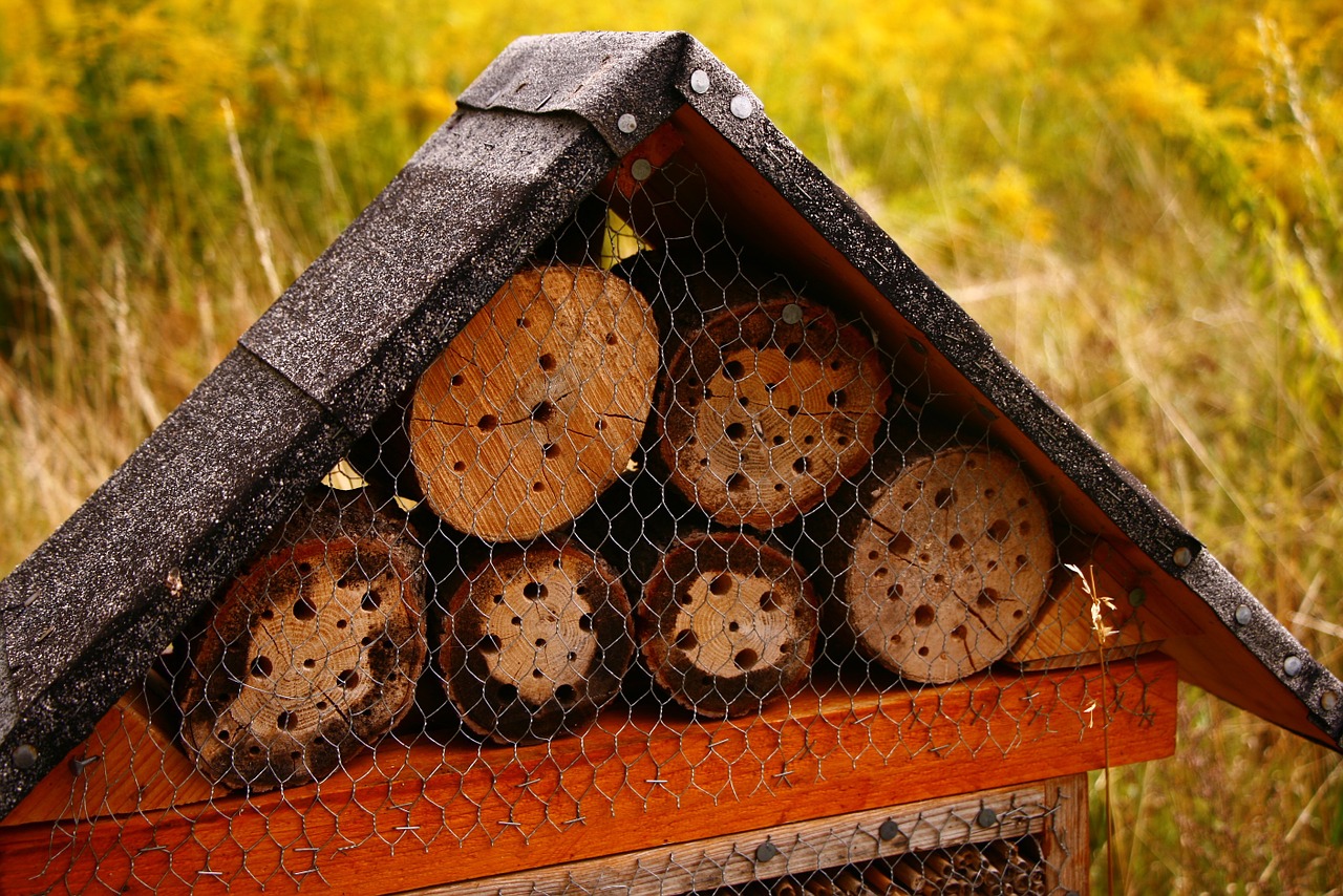 trunks honeycomb vegetable garden free photo