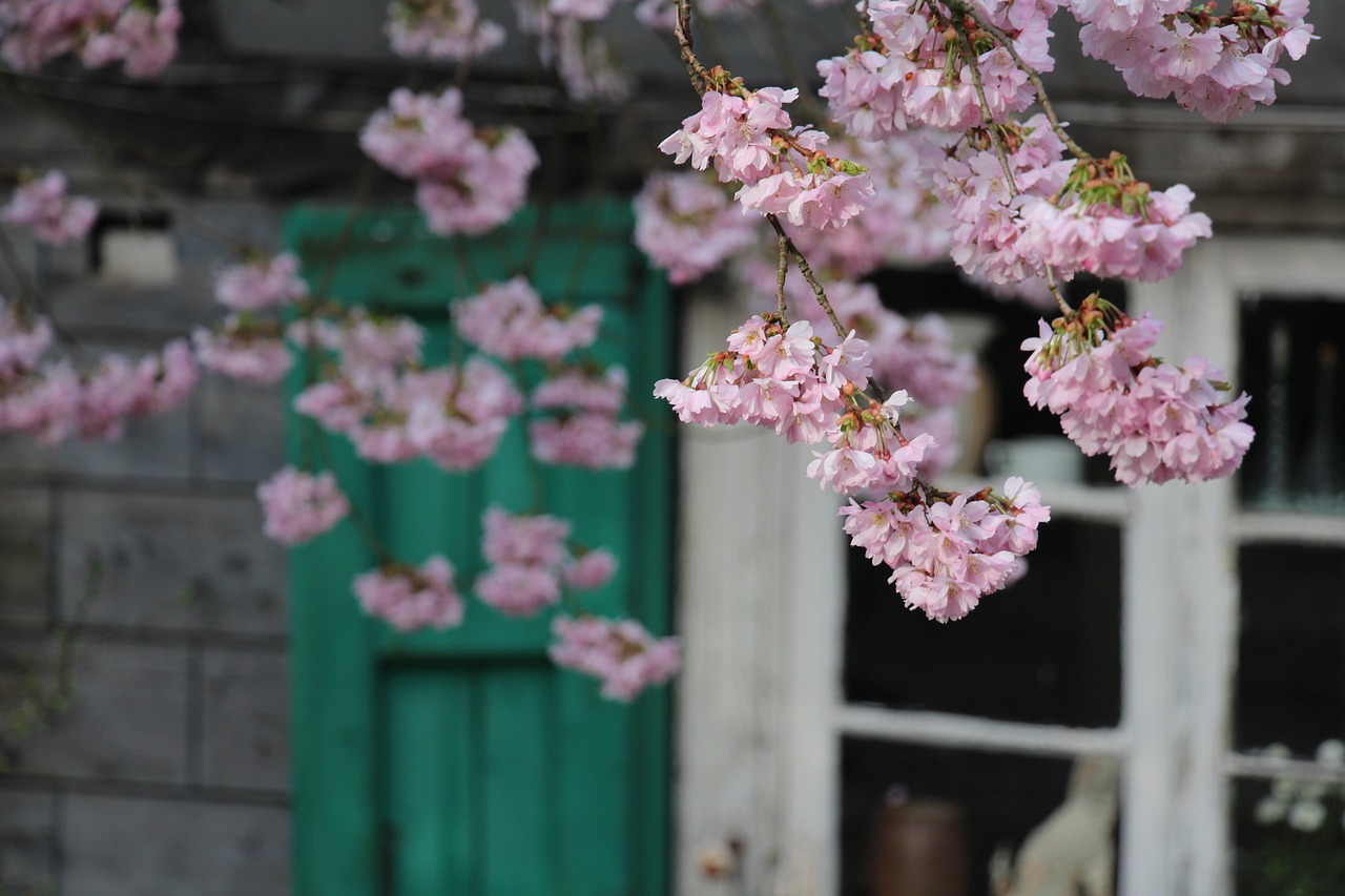 truss flower plant free photo