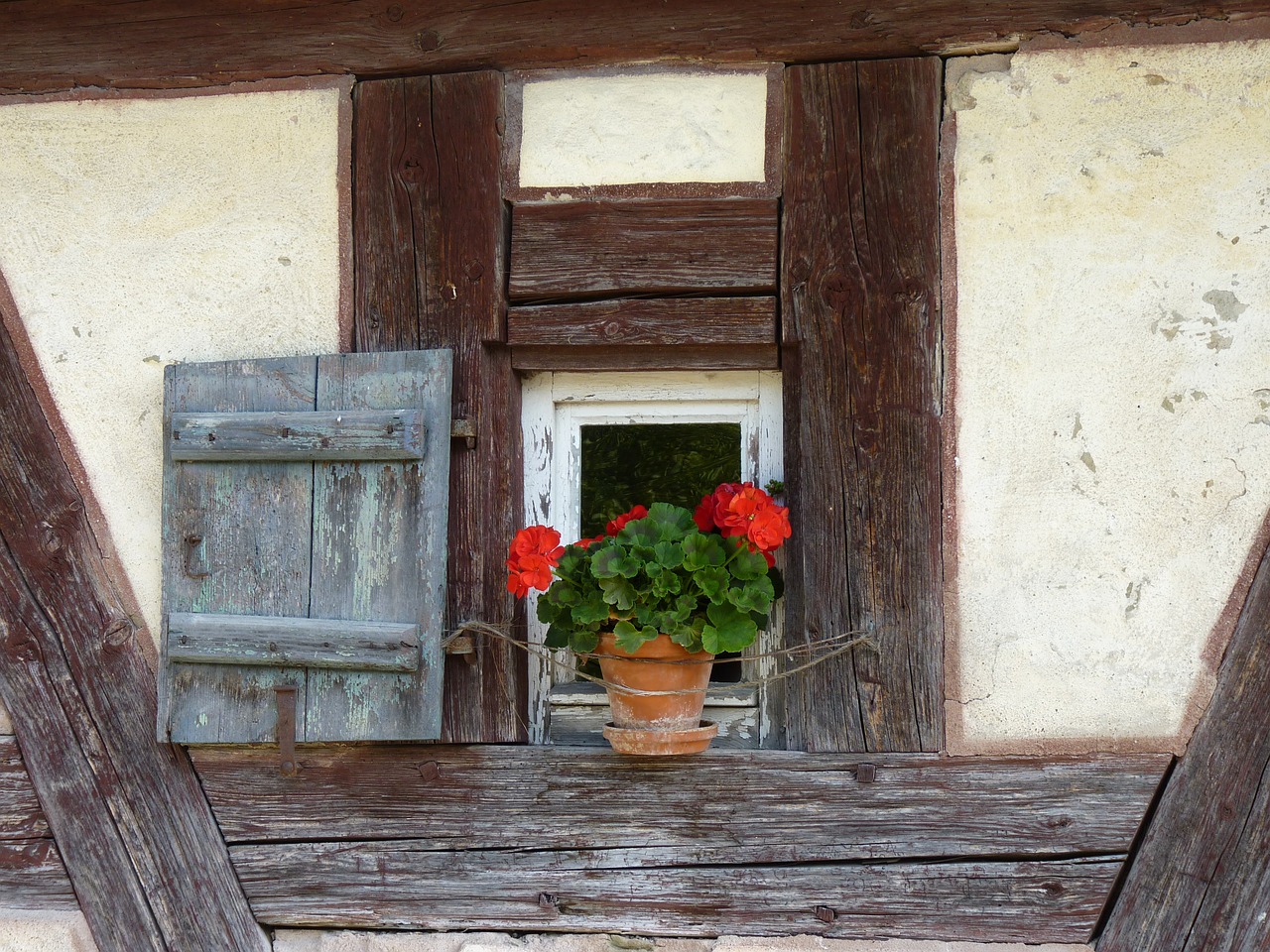 truss window flower free photo