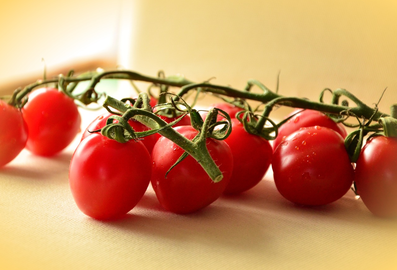 trusses tomatoes red free photo