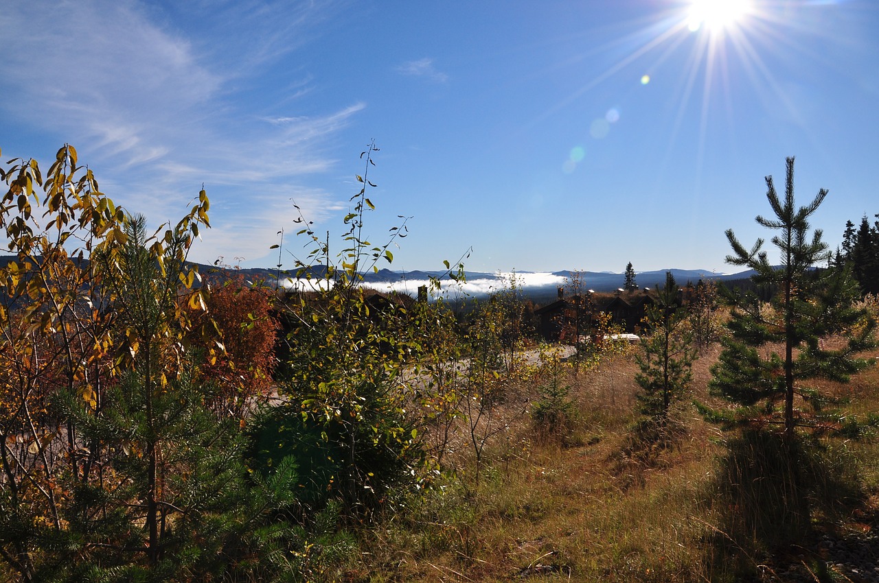 trysil norway autumn free photo