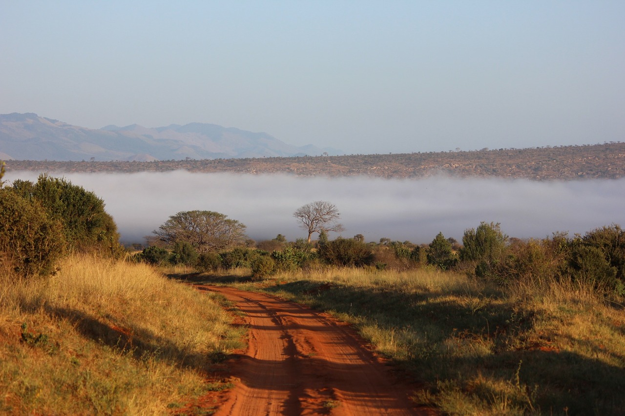 tsavo landscape kenya free photo