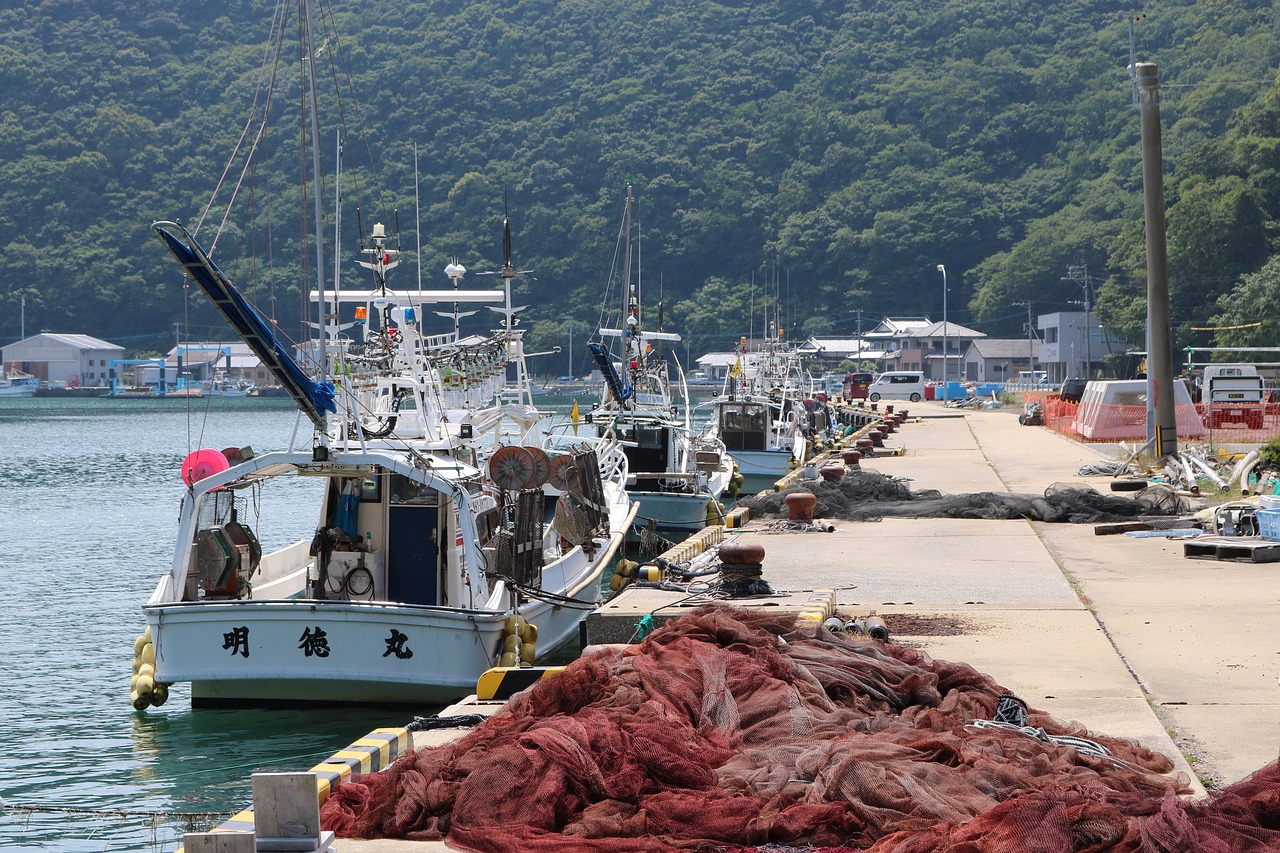 tsushima  views  sea free photo