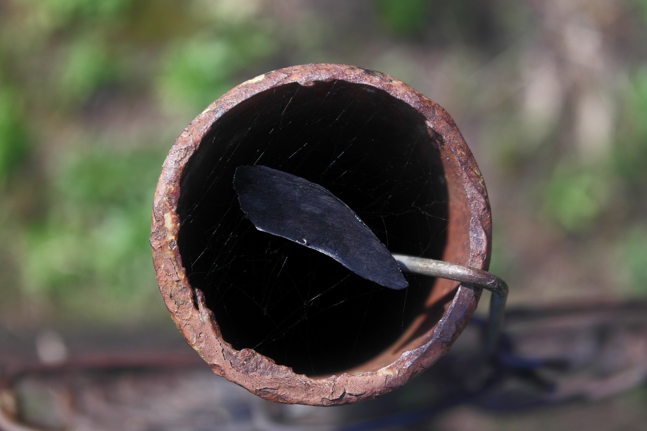 tube  spider web  outdoors free photo