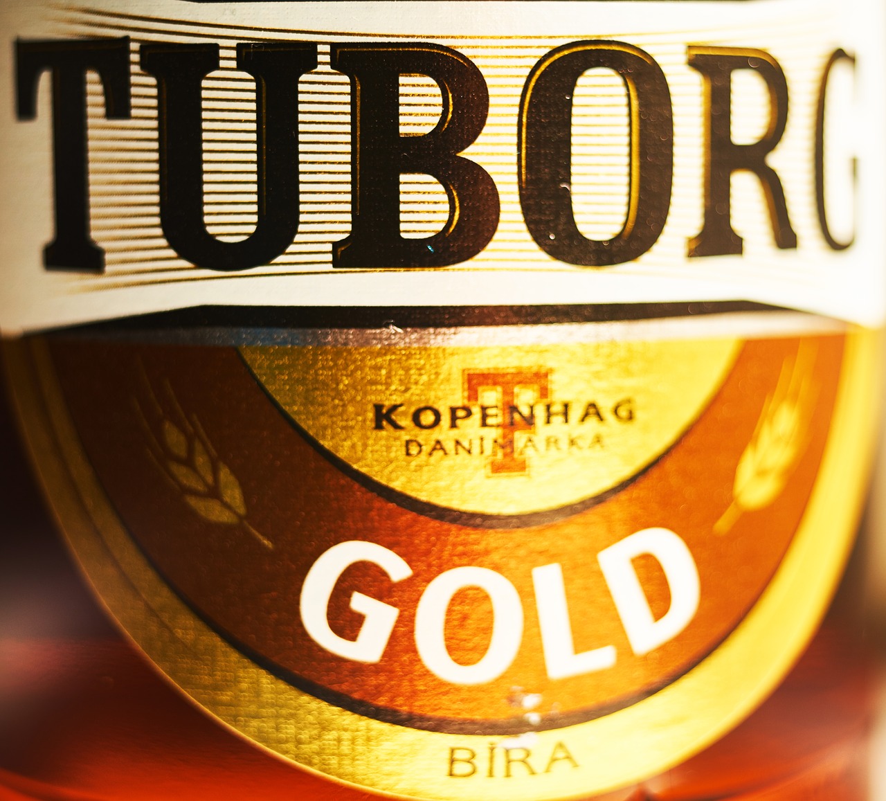 tuborg beer beverage free photo