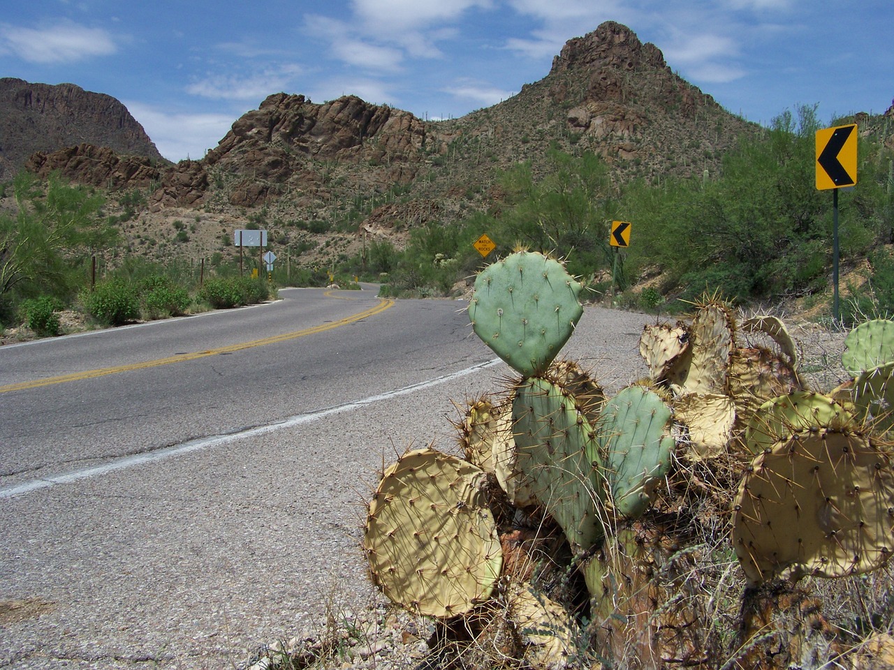 tucson arizona usa free photo