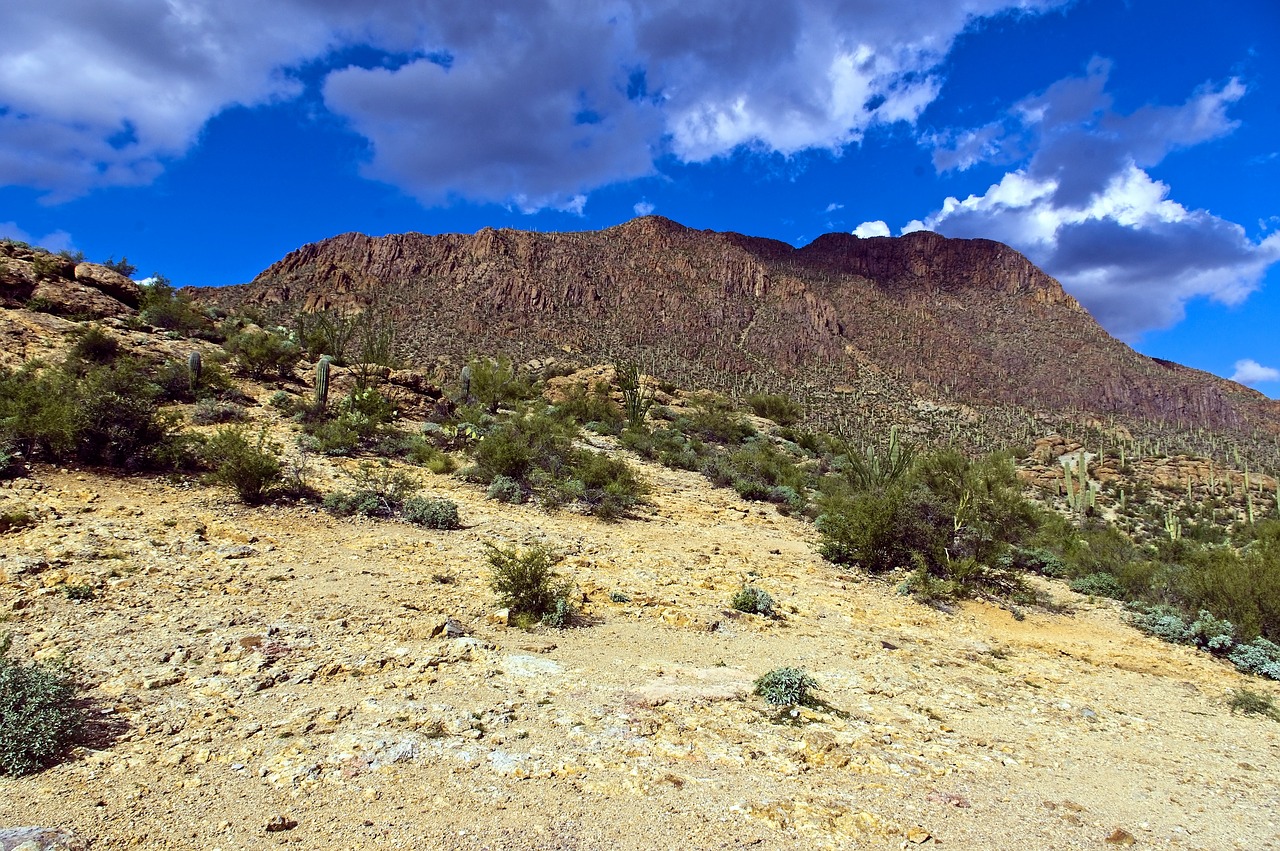 tucson mountain park  desert  mountain free photo