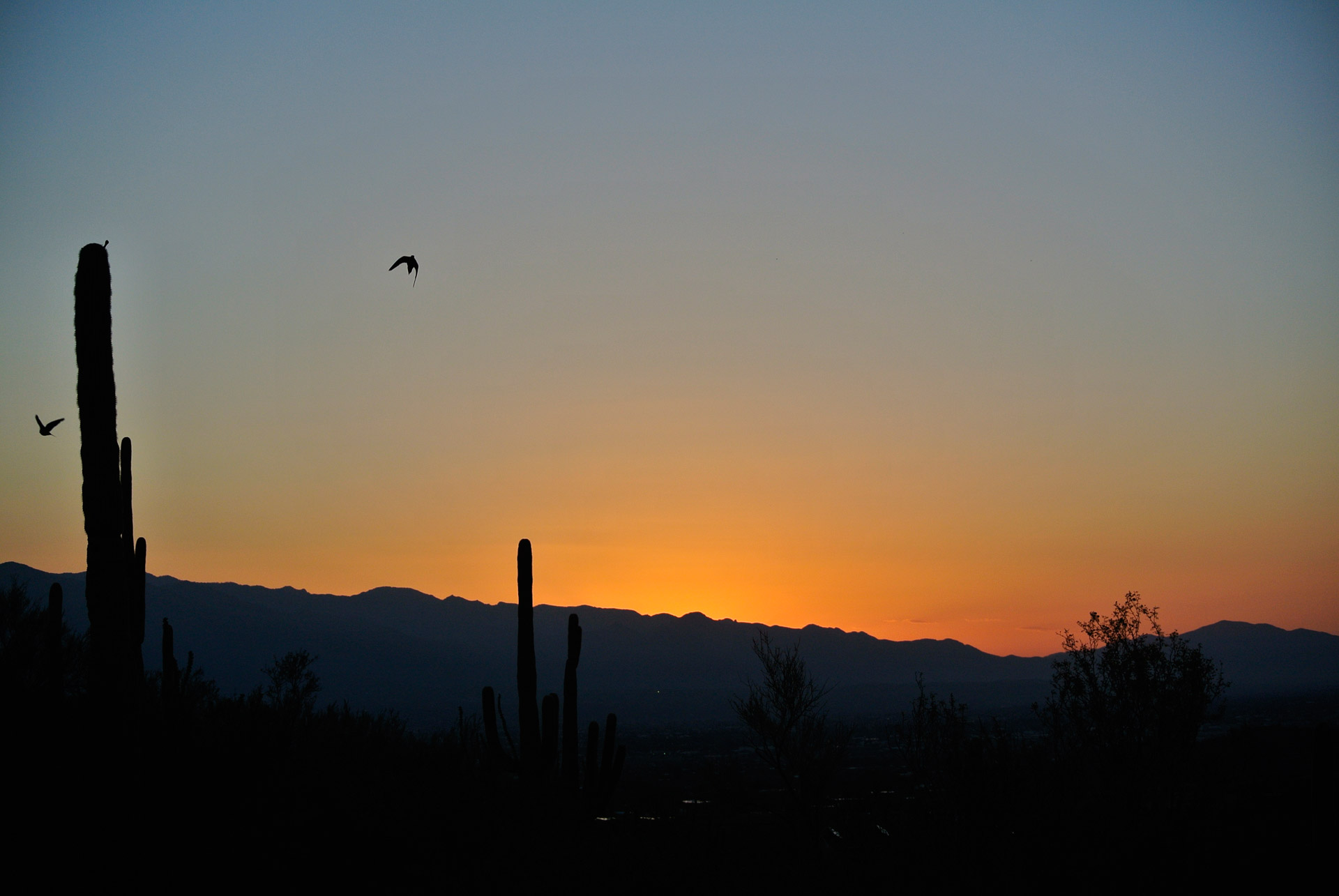 tucson sunrise landscape free photo