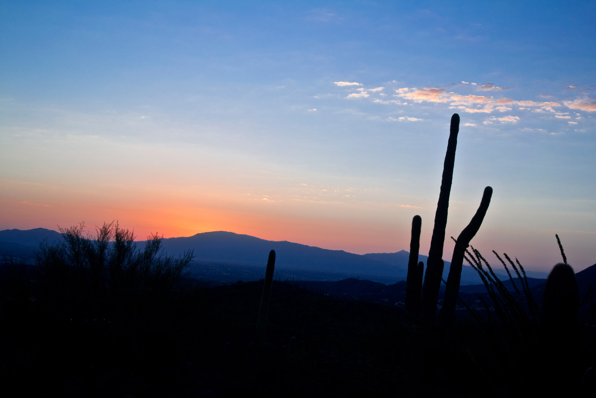 tucson sunrise desert free photo