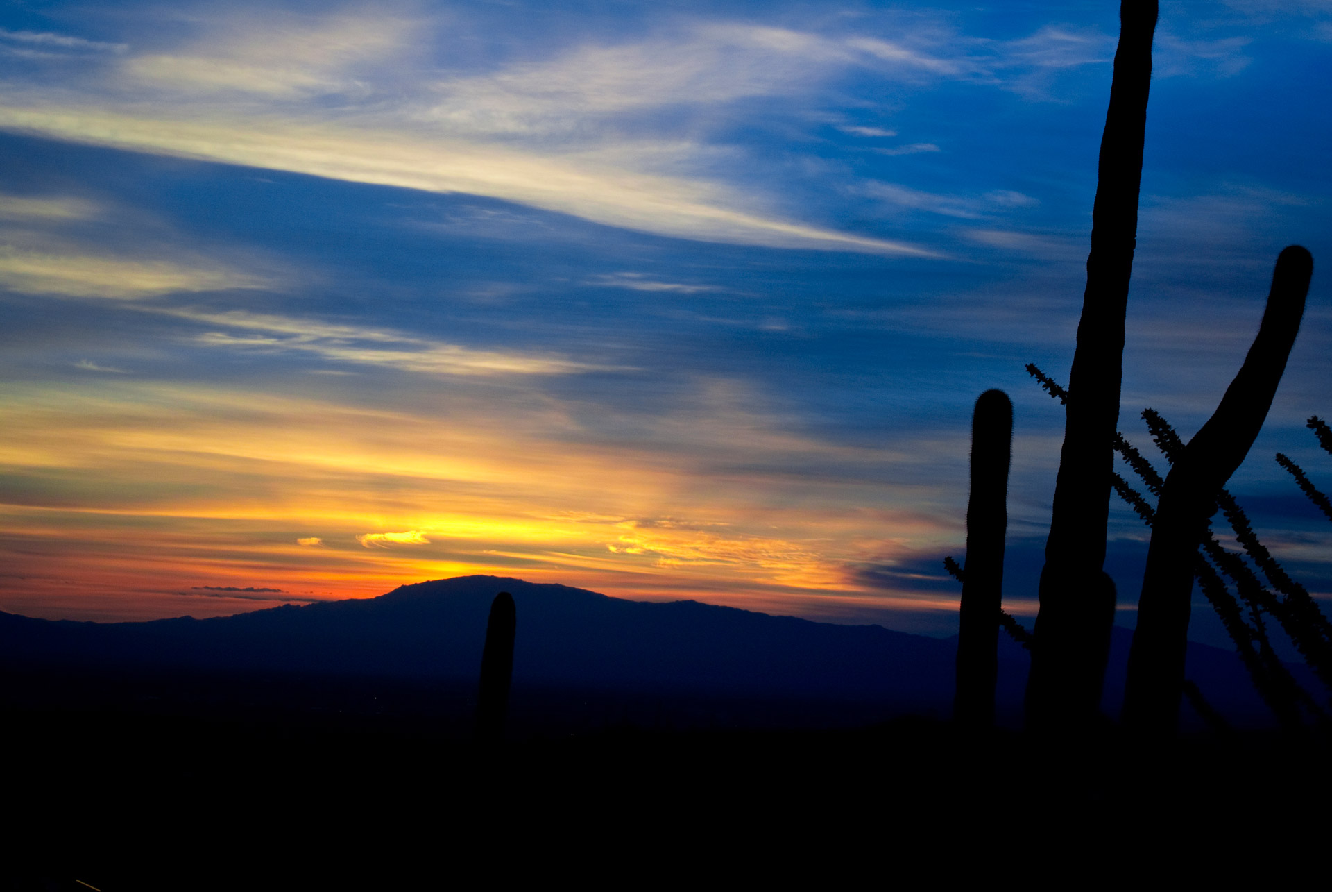 tucson sunrise desert free photo