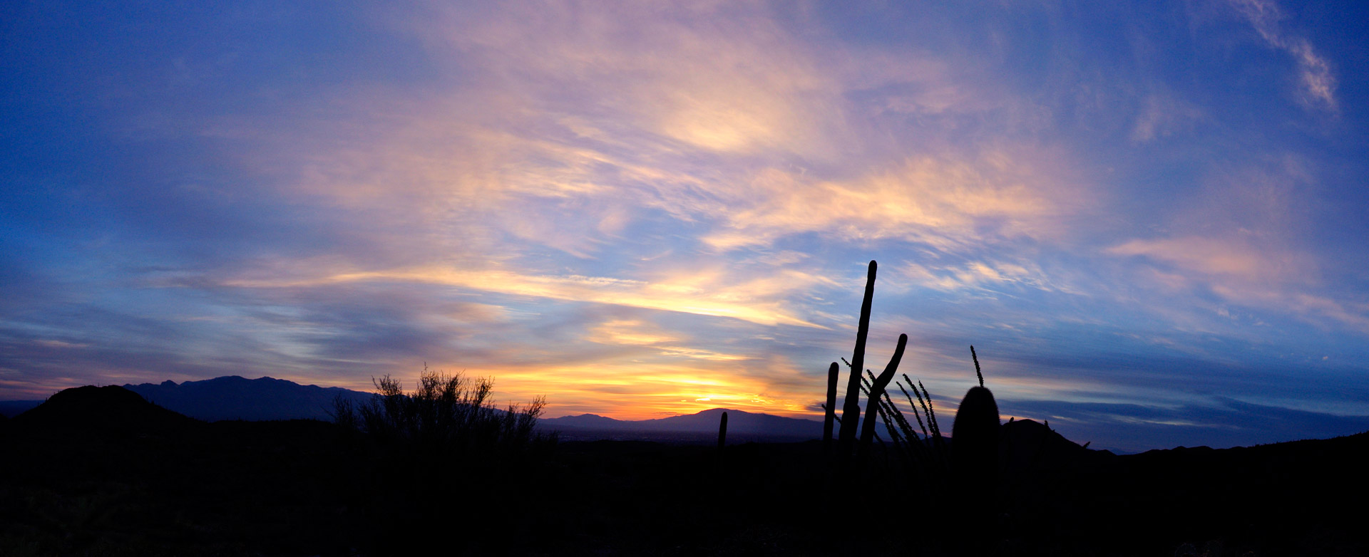 tucson sunrise desert free photo