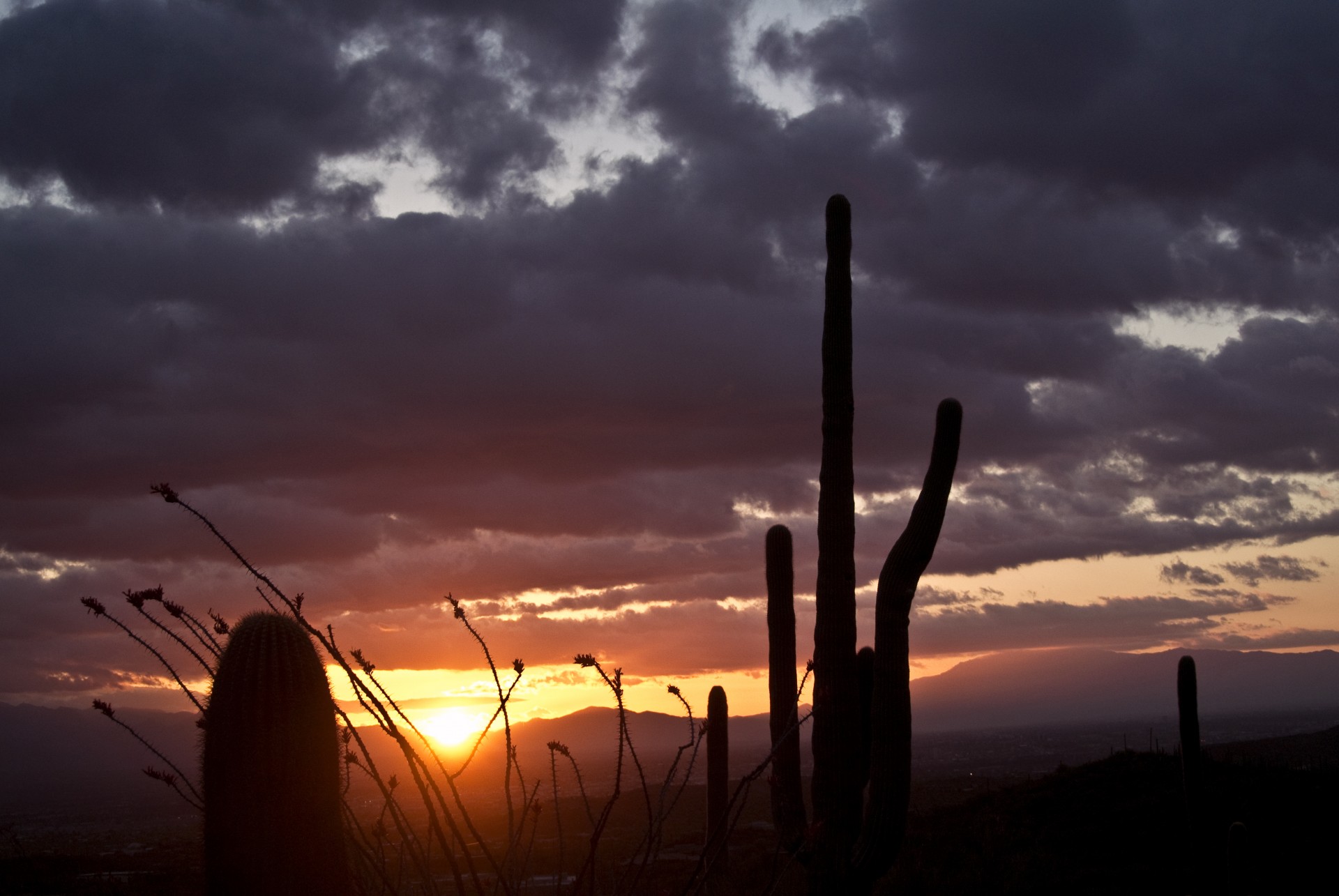 tucson mountains sunrise free photo