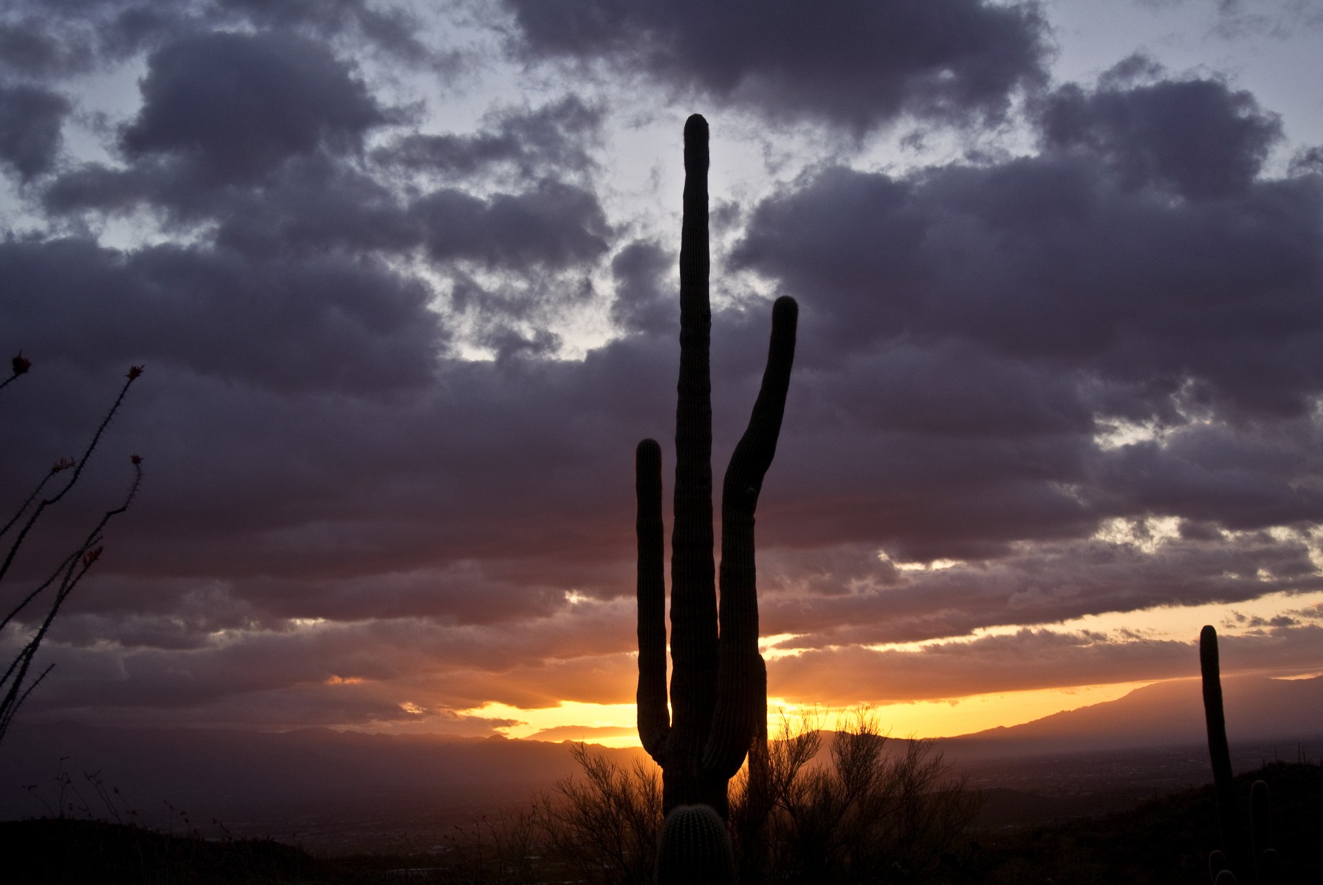 tucson mountains sunrise free photo