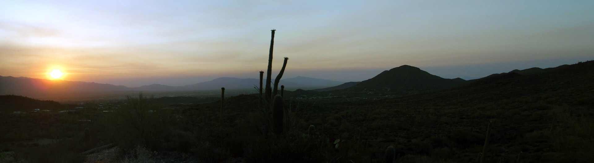 tucson sunrise desert free photo