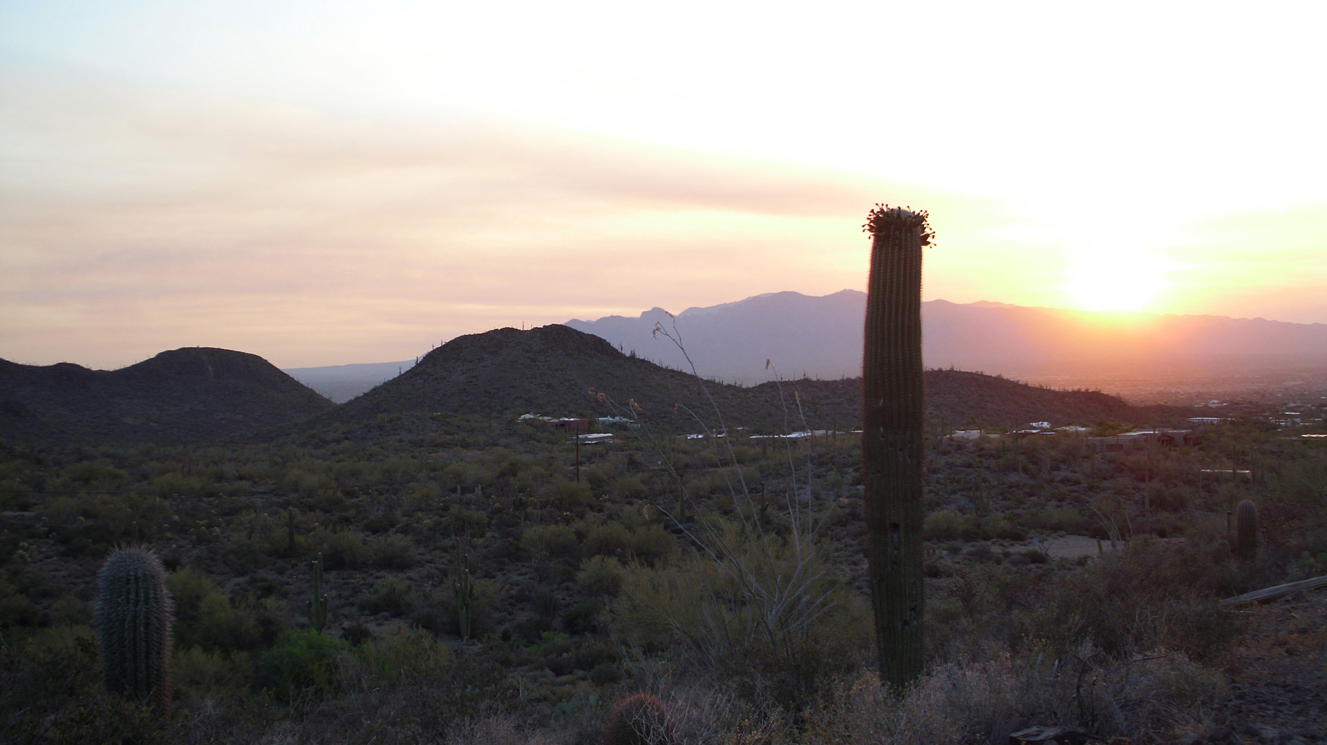 tucson sunrise desert free photo