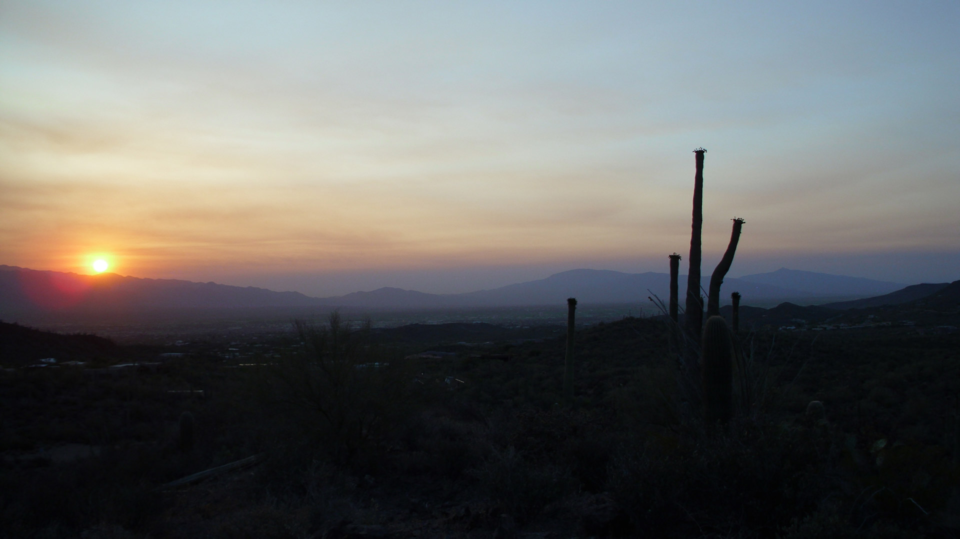 tucson sunrise desert free photo