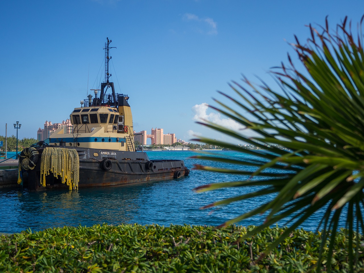 tug boat  bahamas  water free photo