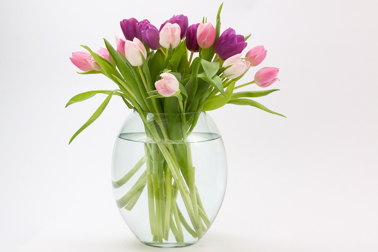 tulip tulip bouquet spring flower free photo