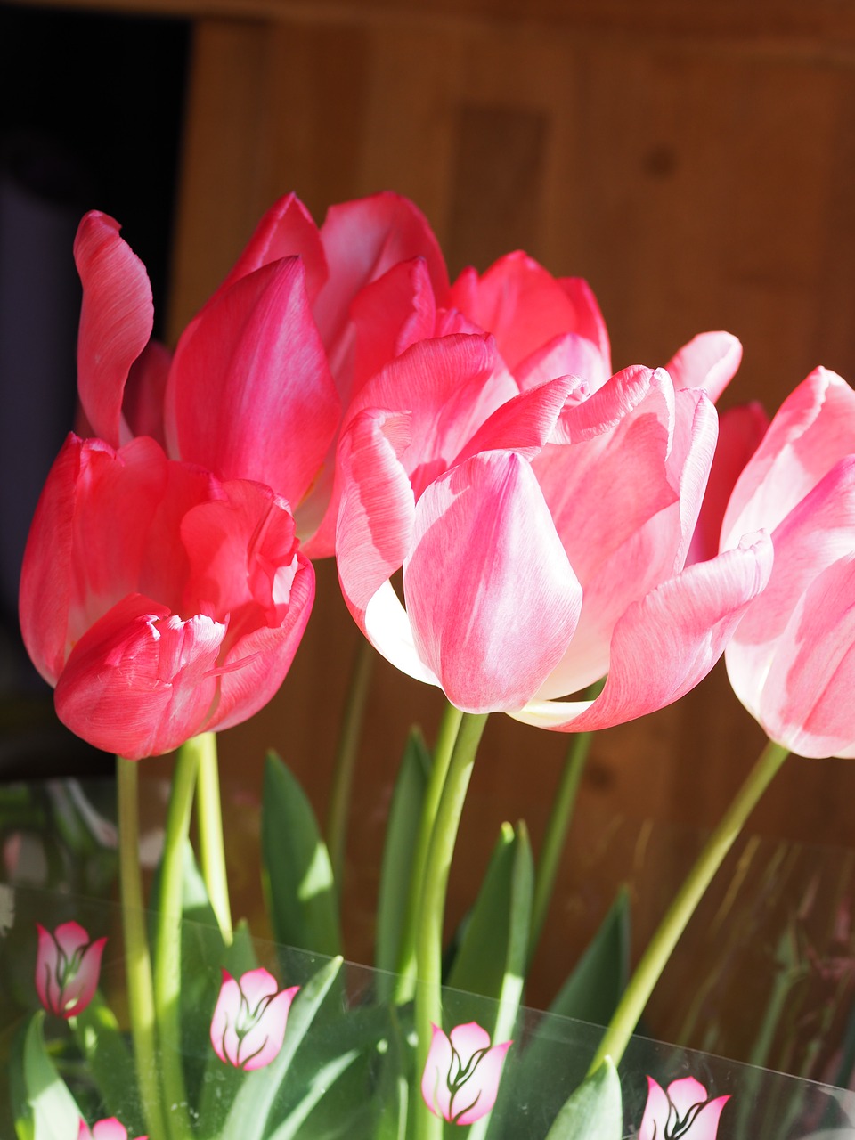 tulip flowers plant free photo