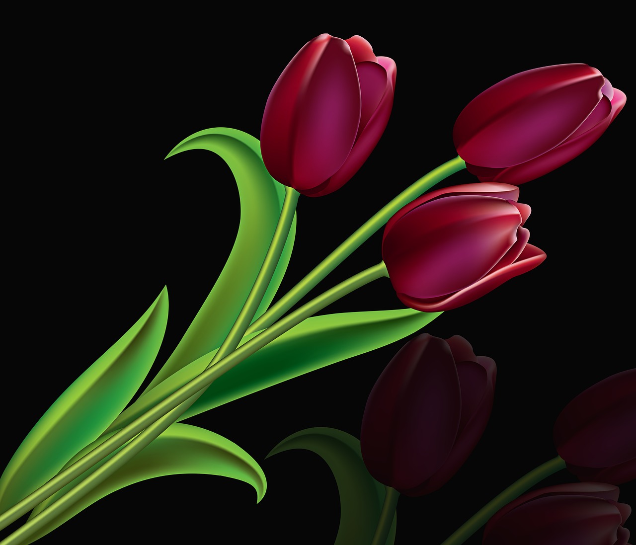 tulip flower plant free photo