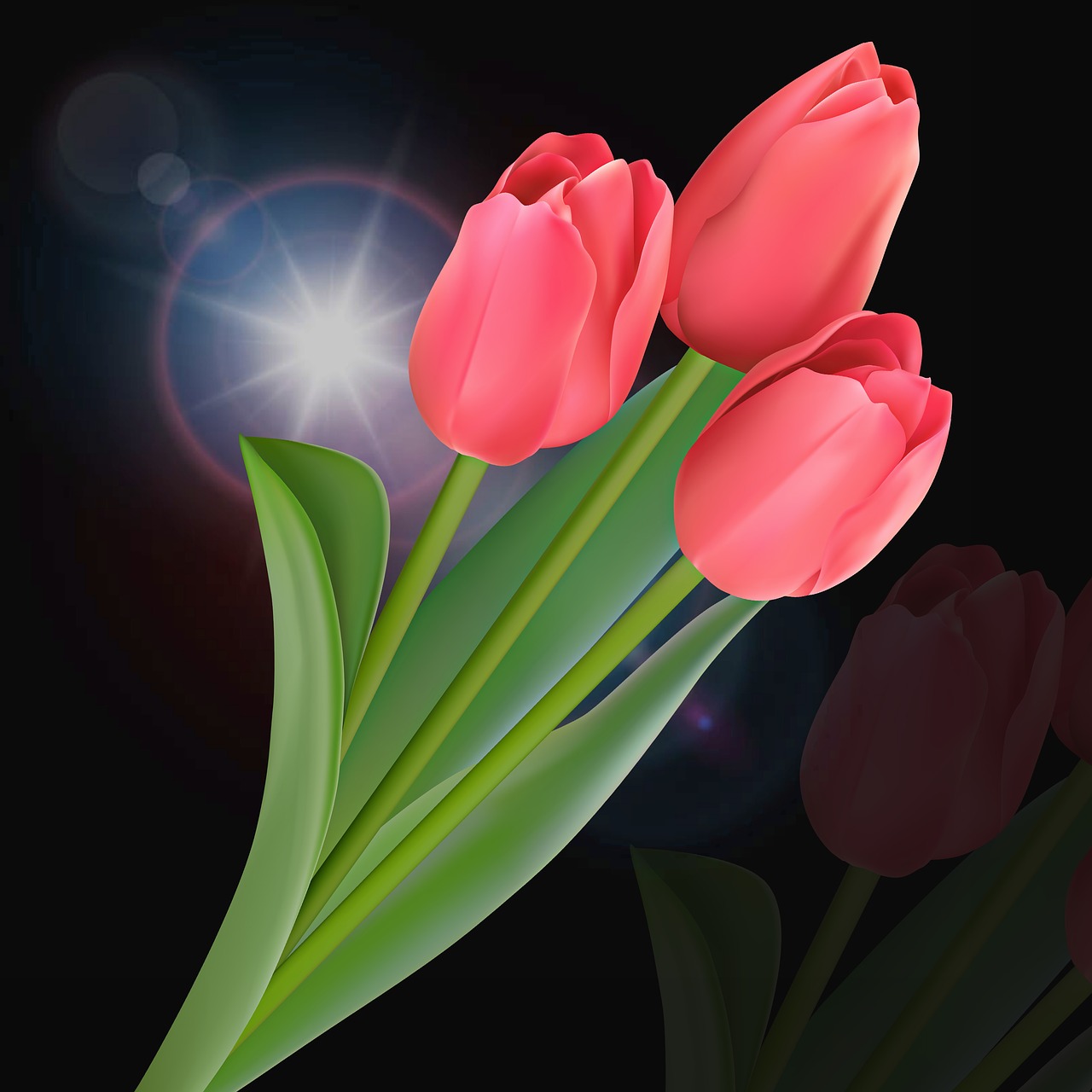 tulip flower plant free photo