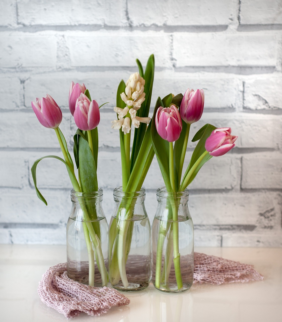 tulip vase flower free photo