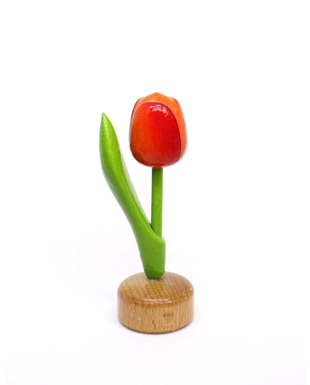 tulip amsterdam souvenir free photo