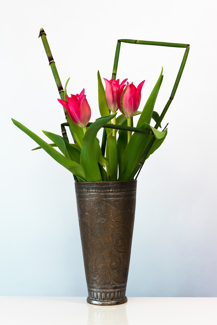 tulip  tulip bouquet  spring flower free photo