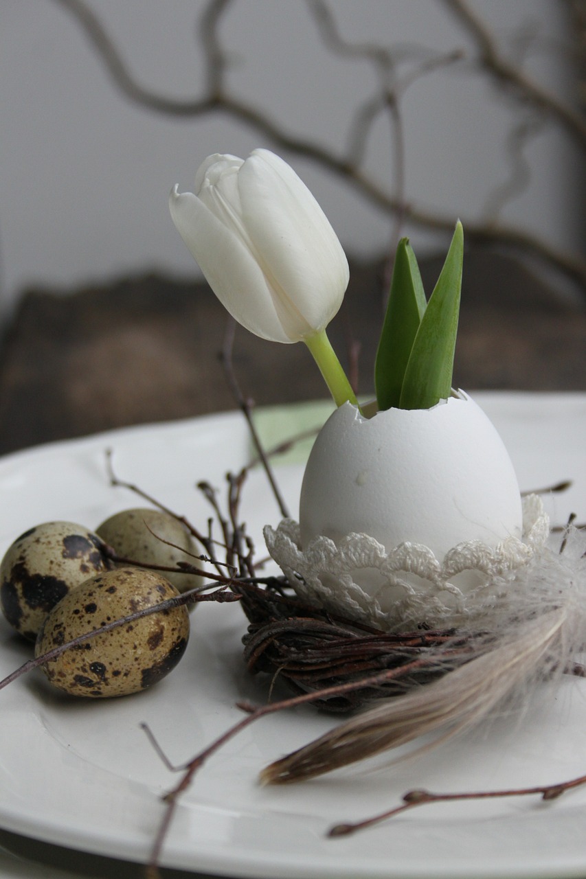 tulip egg easter decoration free photo