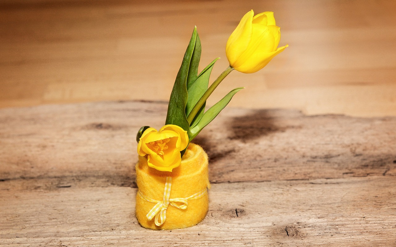 tulip yellow schnittblume free photo
