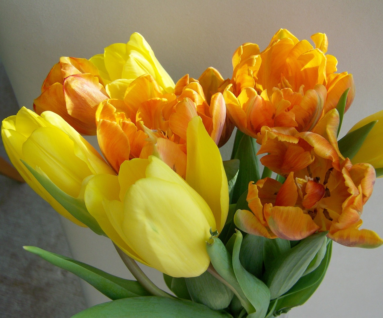 tulip bouquet yellow-orange cut flower free photo