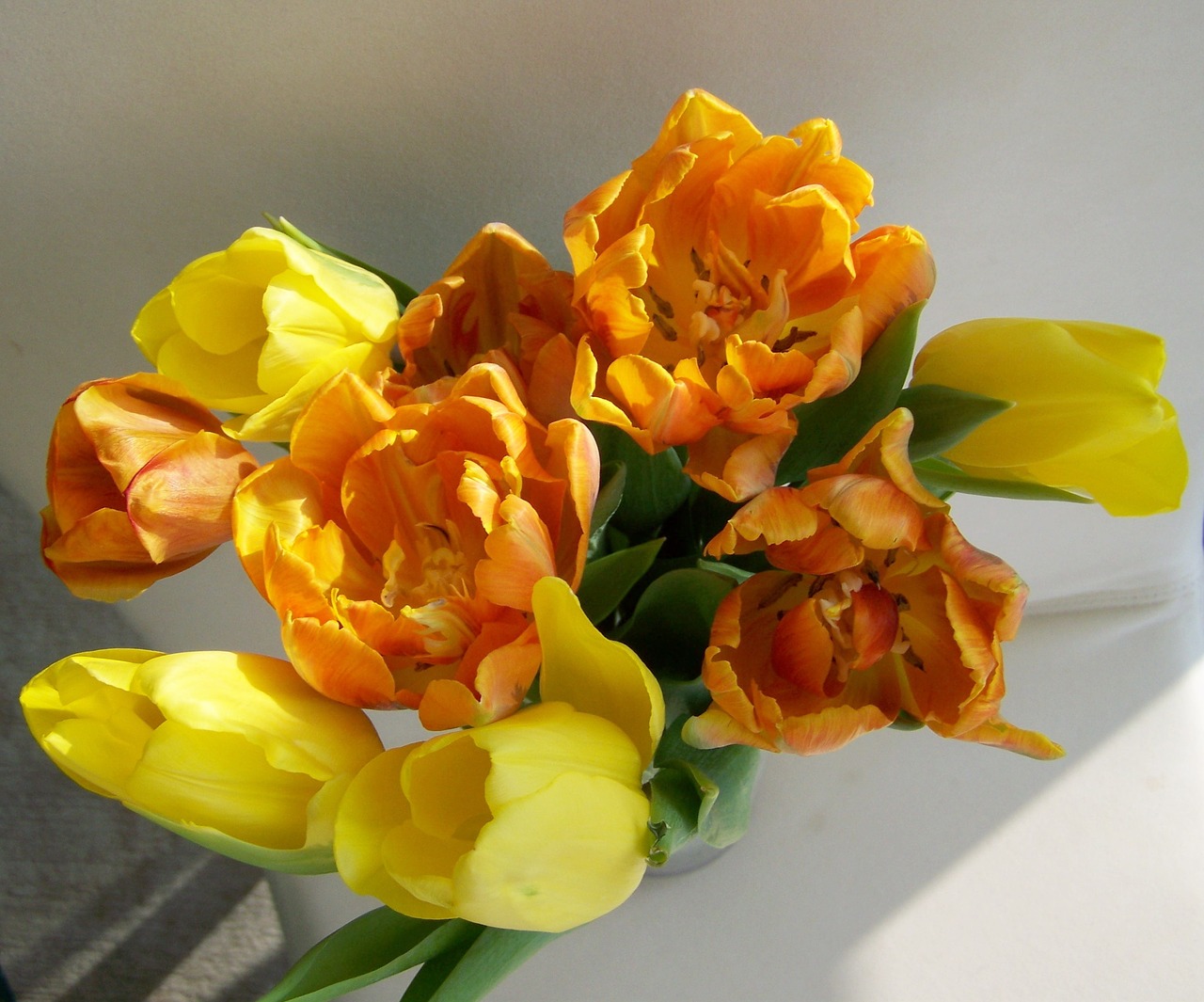 tulip bouquet cut flower yellow-orange free photo