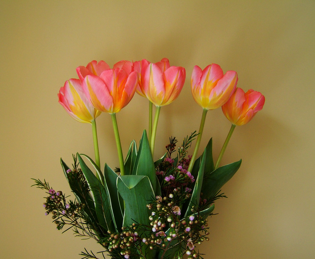 tulip bouquet yellow-pink flowers cut flowers free photo