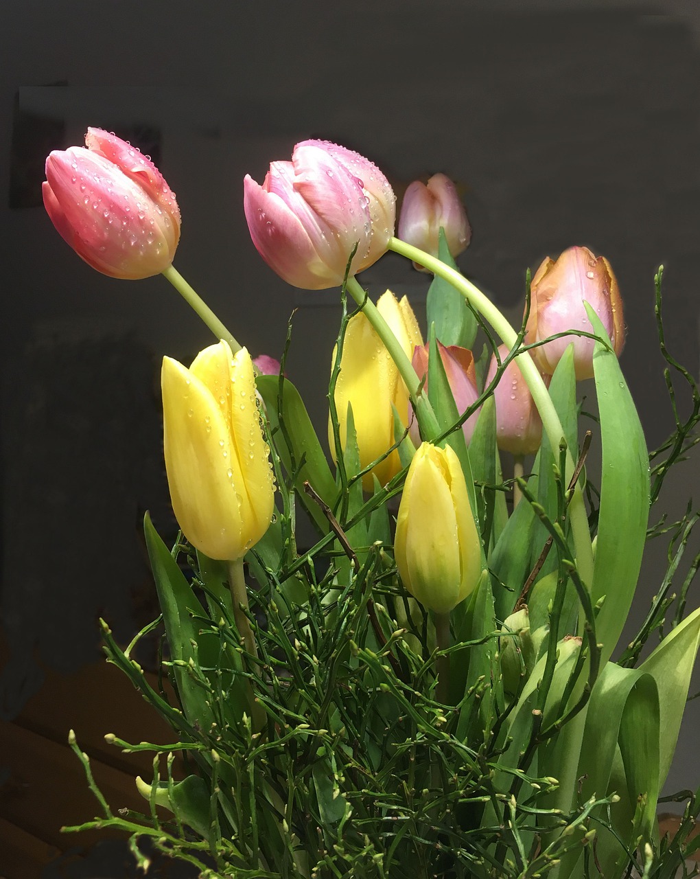 tulip bouquet colorful schnittblume free photo