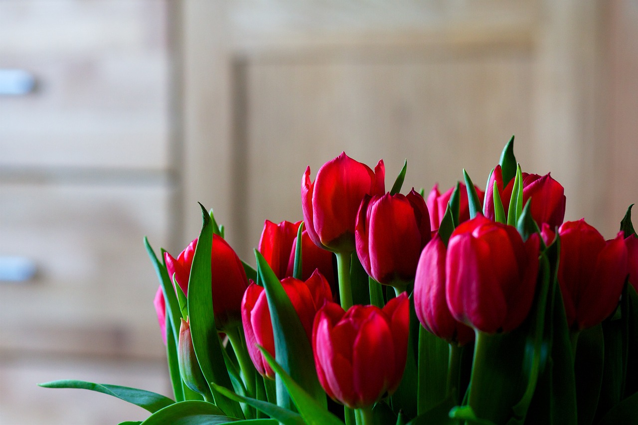 tulips flowers bouquet of flowers free photo