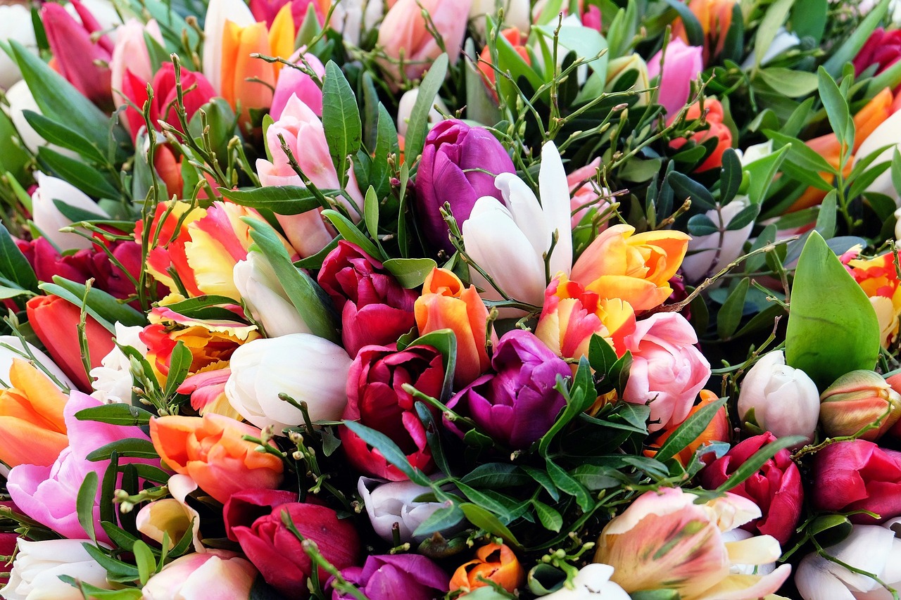 tulips tulip bouquet flowers free photo